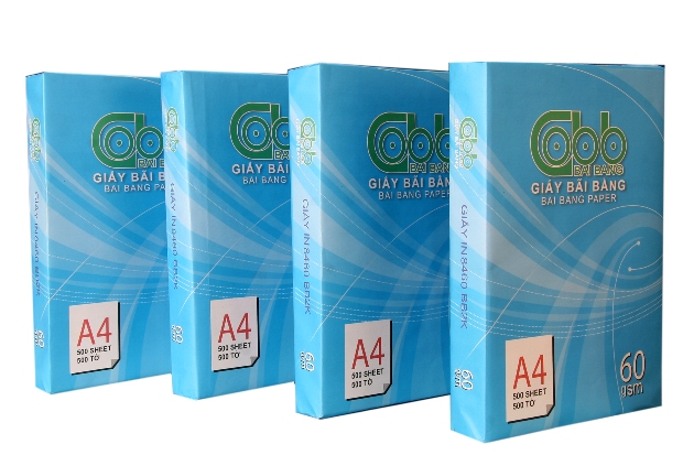 Giấy In Bãi Bằng A4 Định Lượng 60 gms